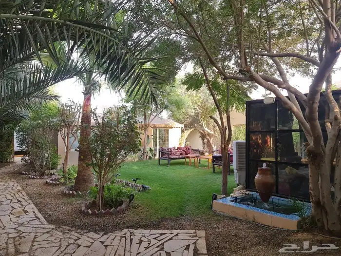 استراحه مزرعه للبيع الهياثم الرحمانيه العفجه الخرج الرفايع 1