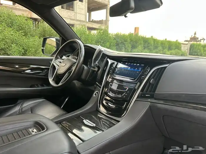كاديلاك اسكاليد بلاتينيوم 2020 24