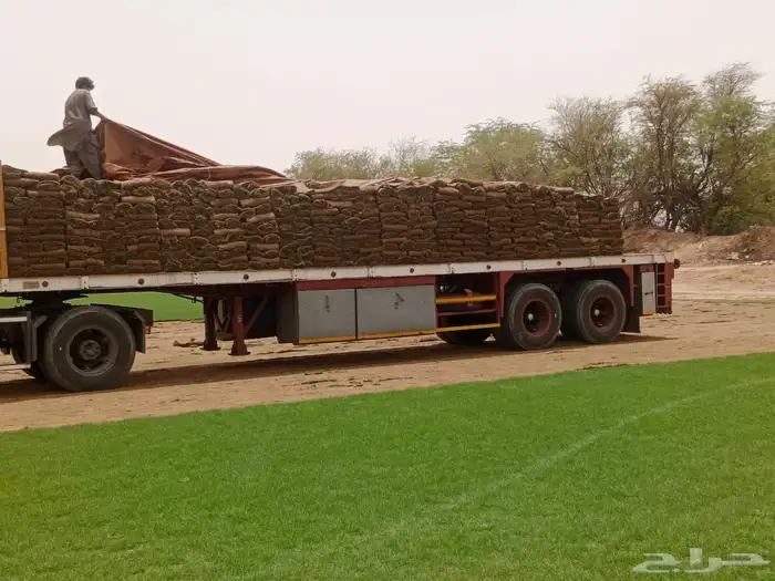 ثيل طبيعي درجه اولى مشروط مضمون 22