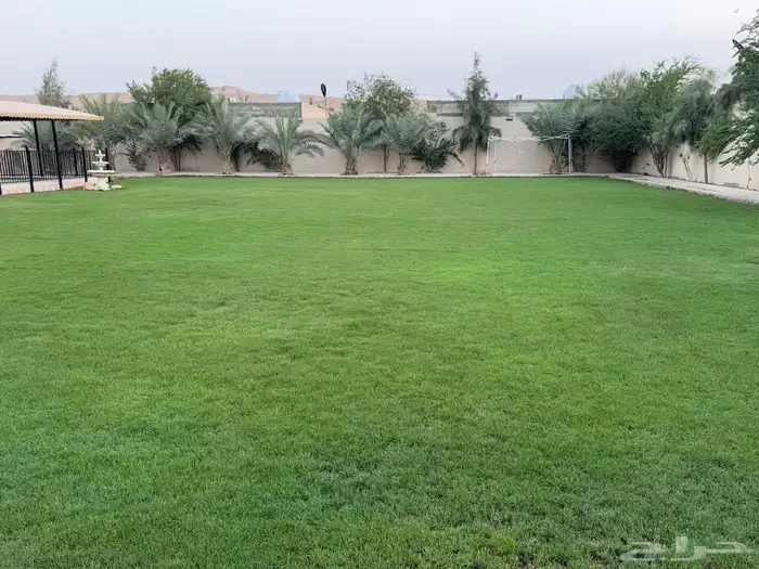 استراحة مساحة 2000 متر للاجار اليومي والشهري في ديراب 3