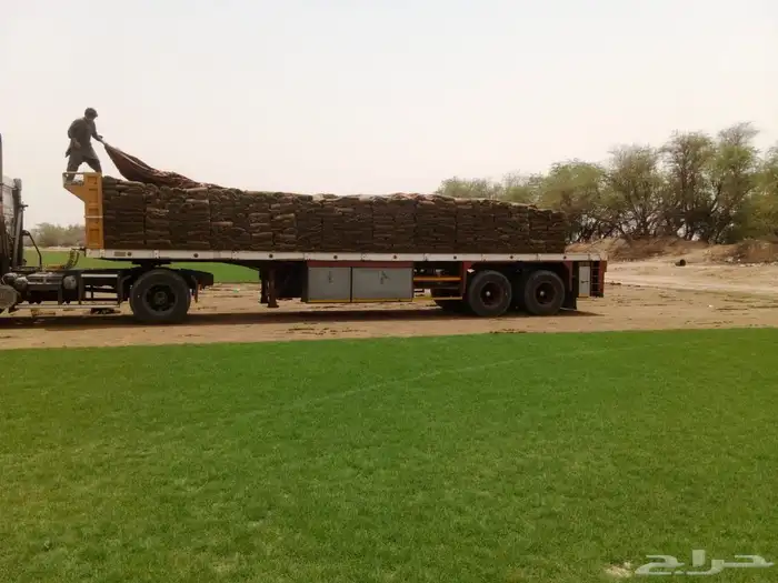 ثيل طبيعي درجه اولى مشروط مضمون 21