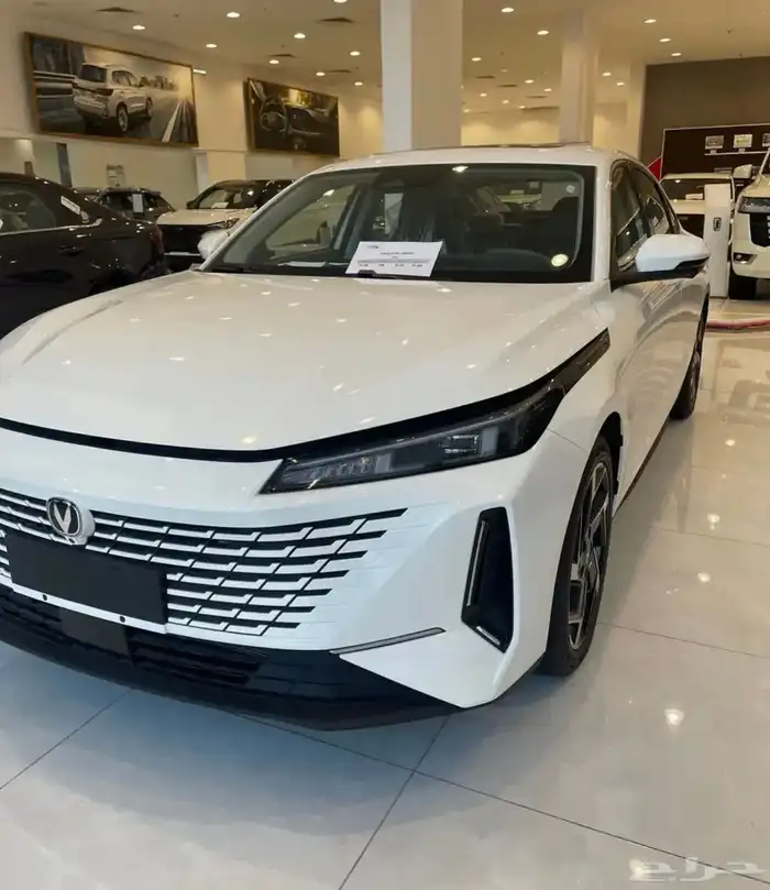 شانجان ايدو ليمتد اقوى العروض لنهاية السنه صفر رسوم اداريه 1