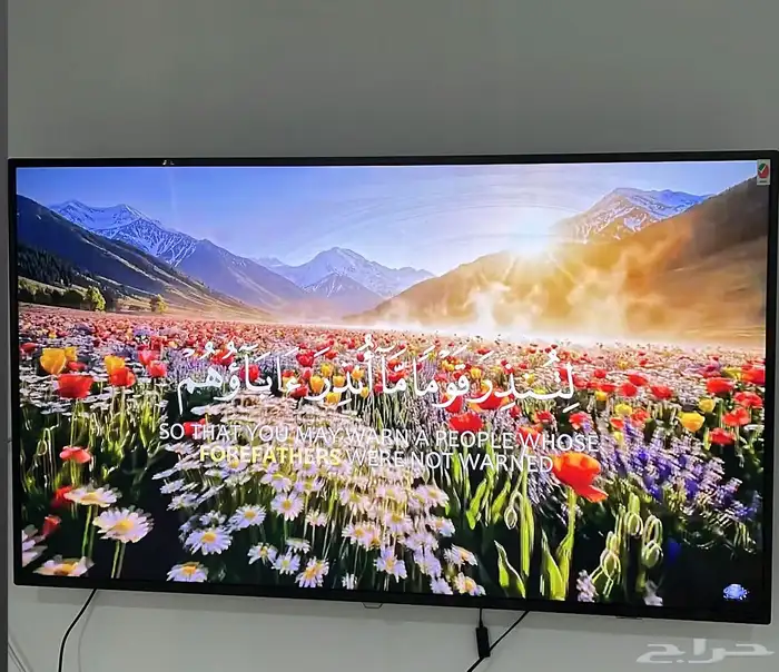 شاشة 65 بوصه 1