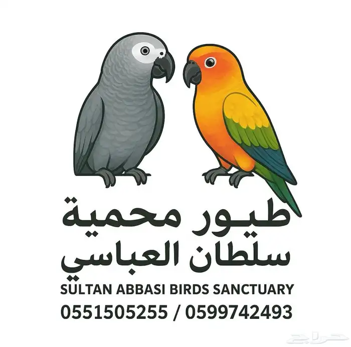 اجواز كنيورات صن شيك   مون شيك   كريمسون 0