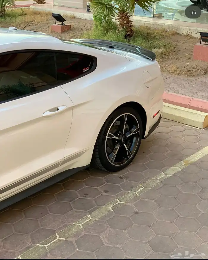 موستنق كالفورنيا سبيشل 58km 0