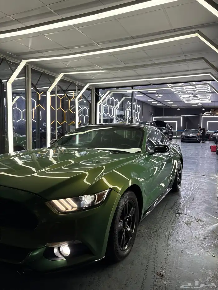 موستنق 2015 V6 5