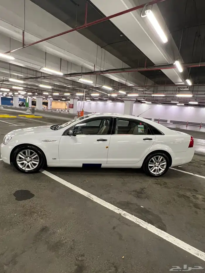 كابرس 2013 LS 6