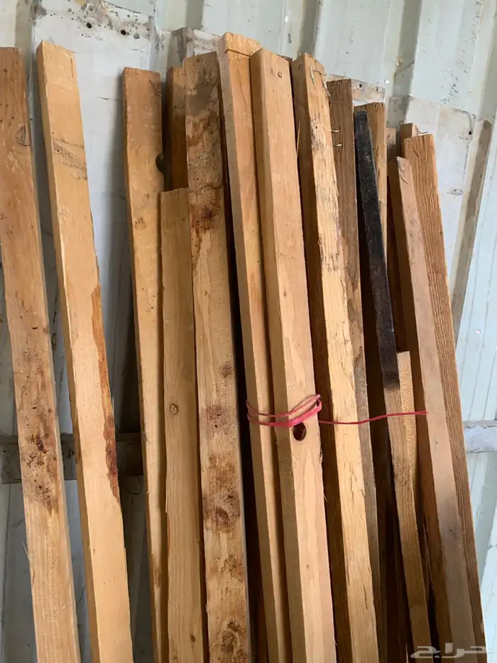 سيور ركايز العدد حول الخمسين يزود او ينقص 4