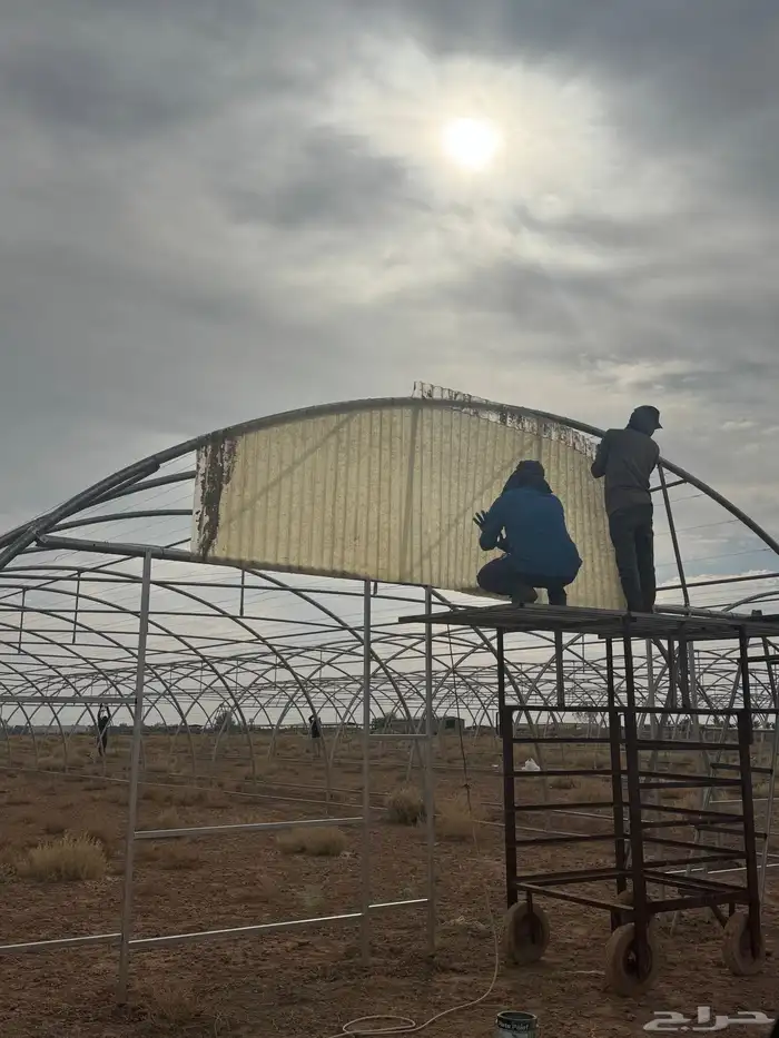 بيع وتركيب بيوت محميه وتركيب لمشاريع كبيره وصغيره 6