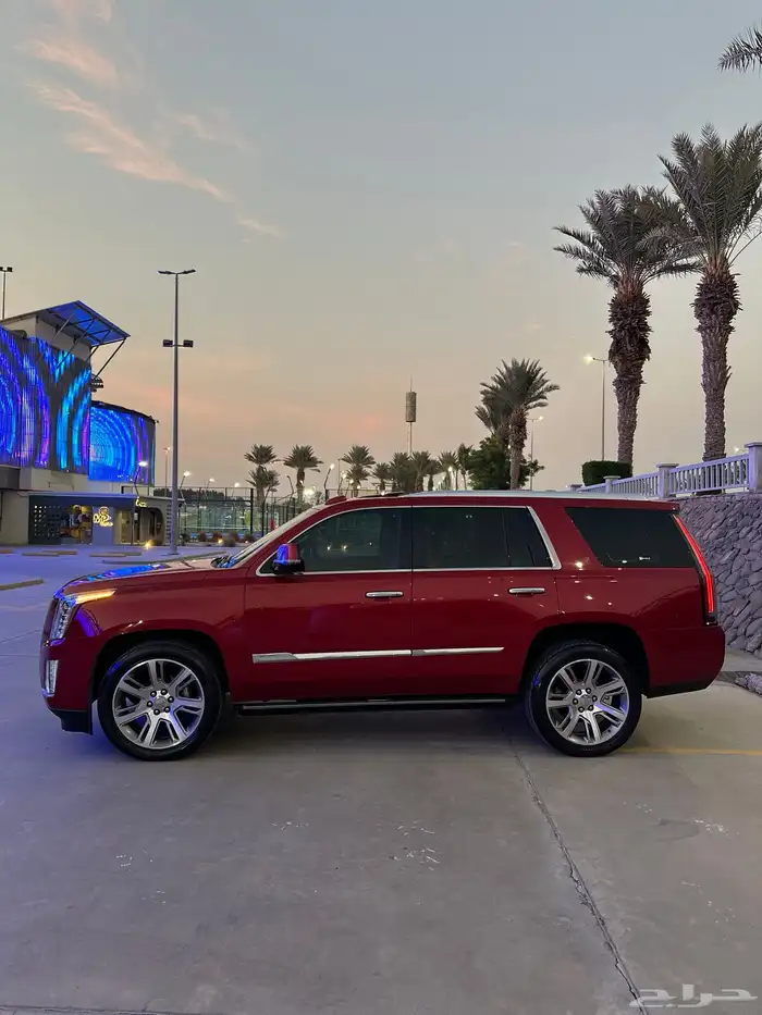 كاديلاك اسكاليد 2015 24