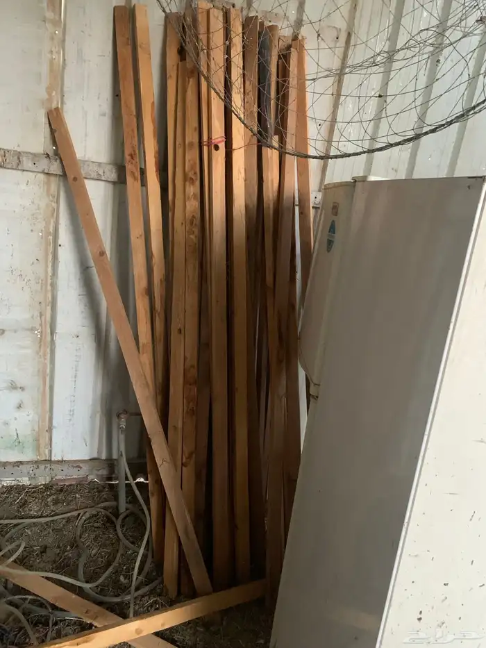 سيور ركايز العدد حول الخمسين يزود او ينقص 5