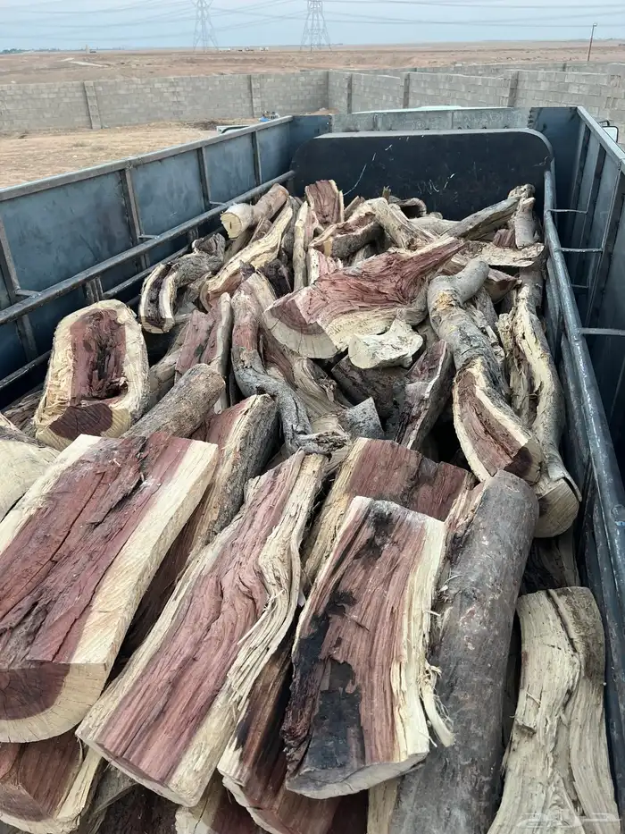 يابس على الشرط 2