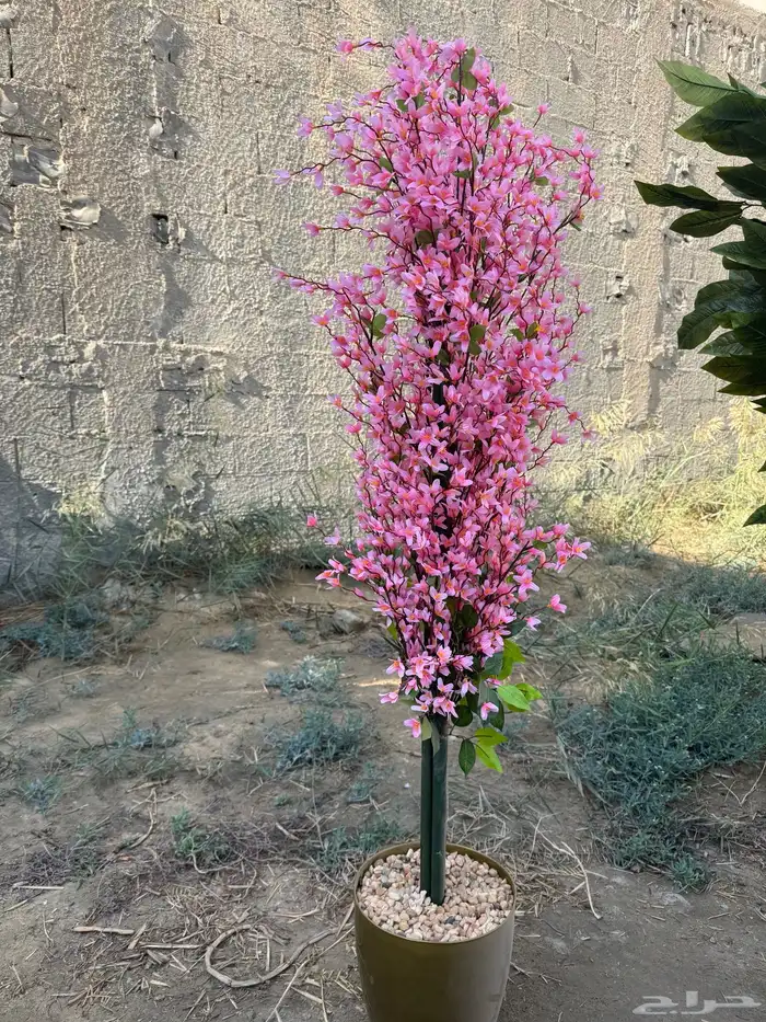 فود ترك  مقطوره   عربه متنقله 25