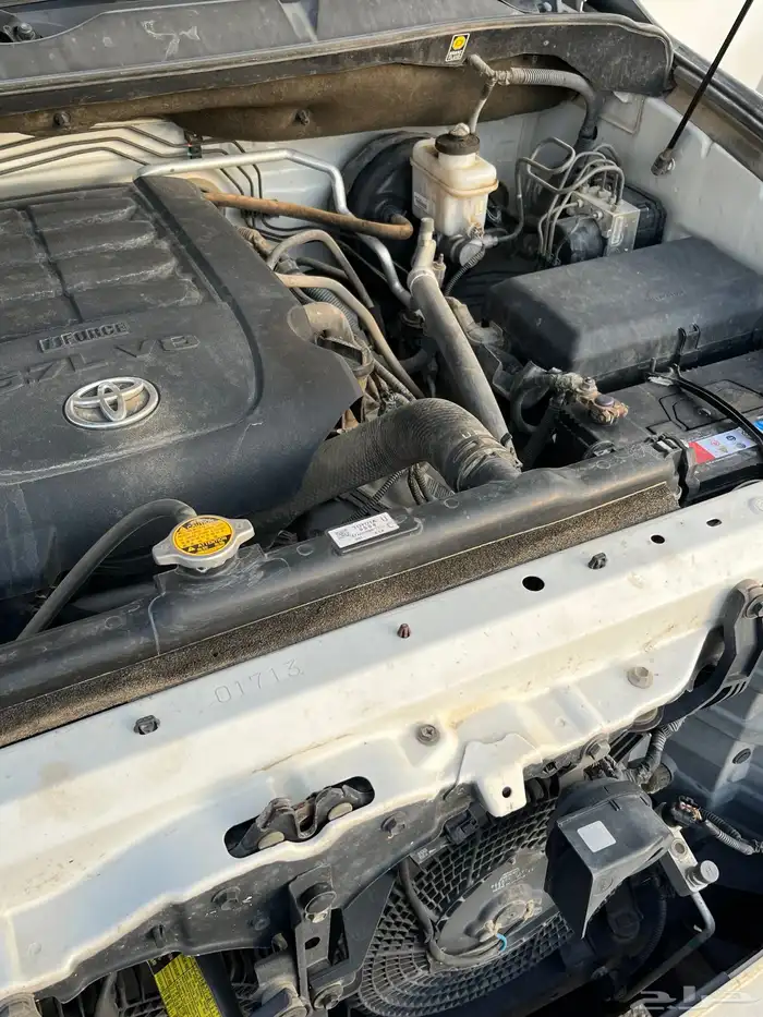 للبيع سكويا. مخزنه 19