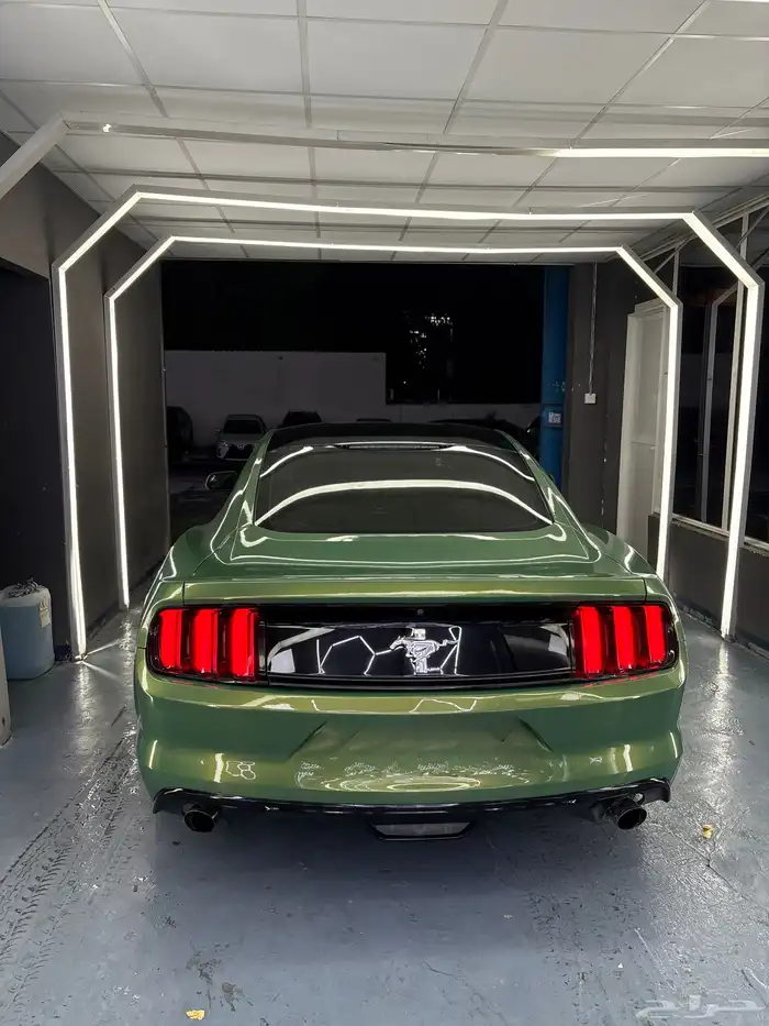 موستنق 2015 V6 11