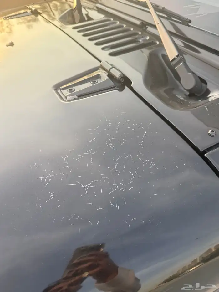 جيب رانقلر 2012 لون اسود ممشى 287 21