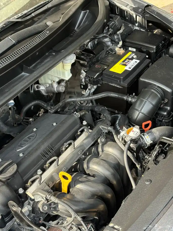 كيا ريو 2016 15