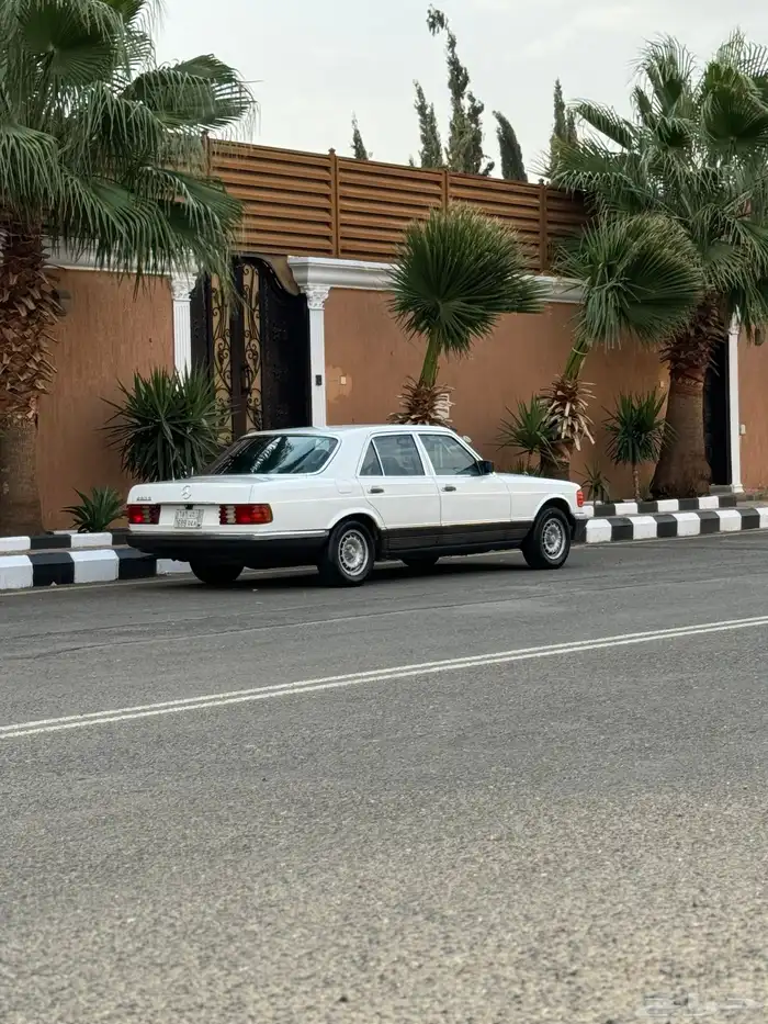 مرسيد بنز كلاسك 1985 S 280 قير عايدي 8