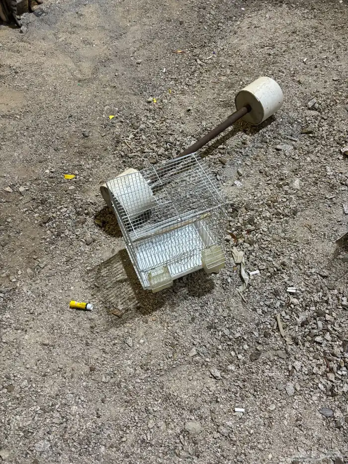 أقفاص طيور. كبيره او صغير على السوم 1