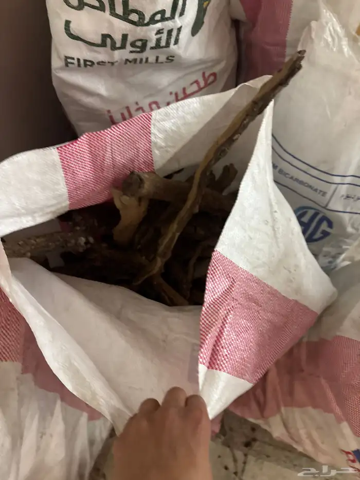 حطب  أورطة 4