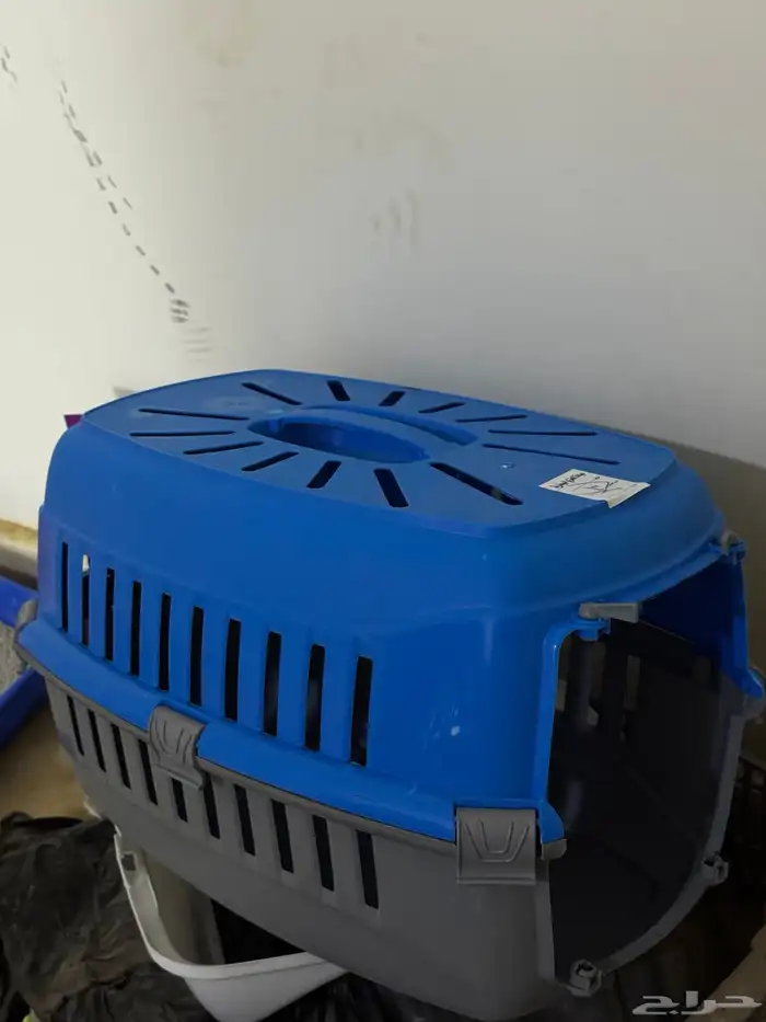 قطة انثى بريطاني للبيع مع جميع اغراضه ب175 ريال 3