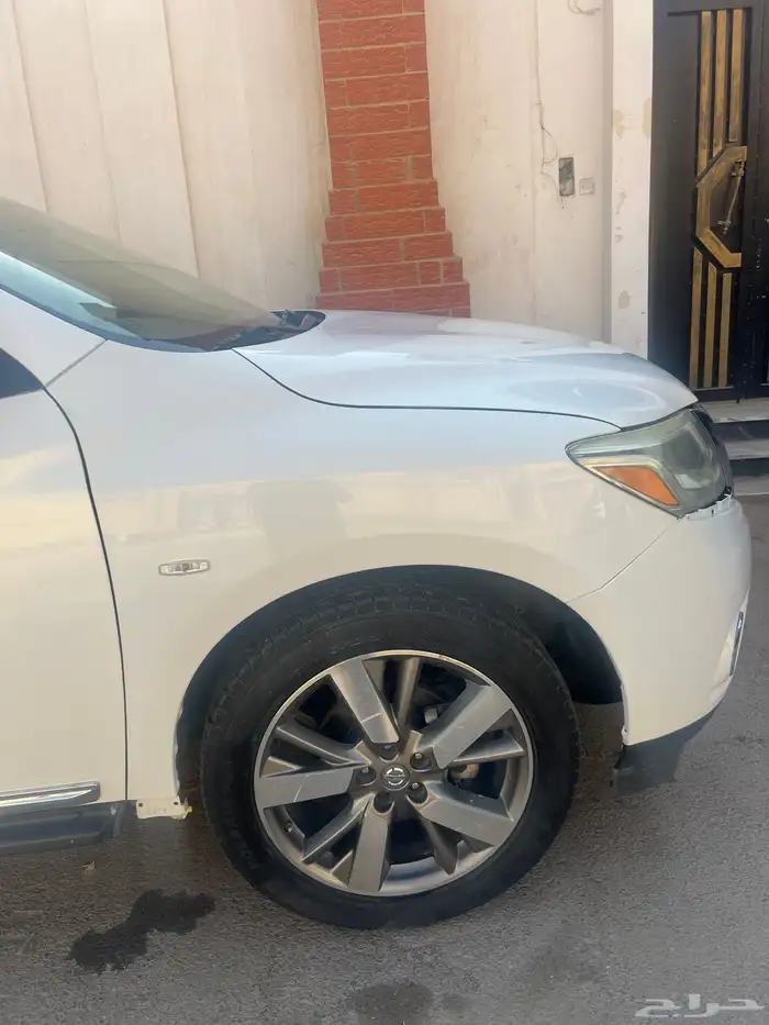 باتفندر 2014 17