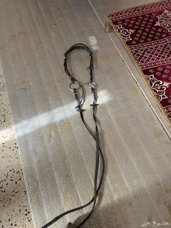 سرج ستيتوس اخو الجديد 1