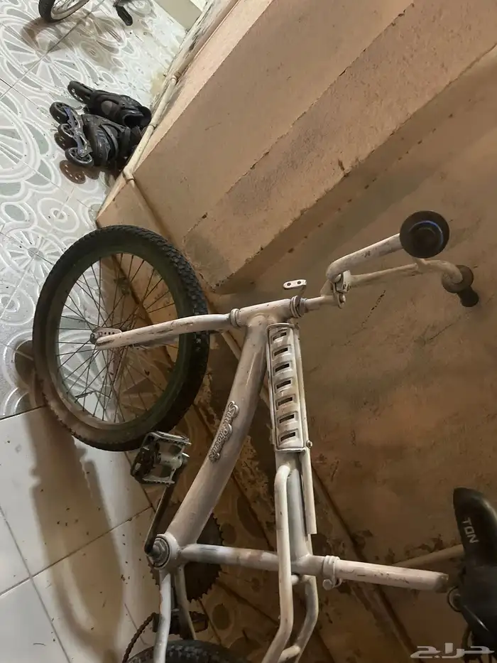 سيكل رامبو 0