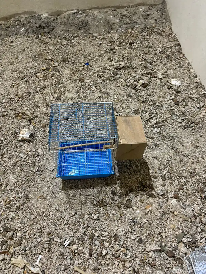 أقفاص طيور. كبيره او صغير على السوم 0