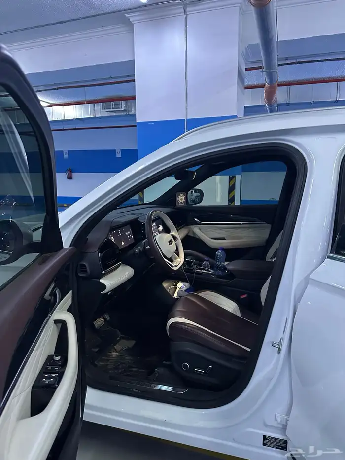 جيلي مونجارو مستخدم نظيف 9