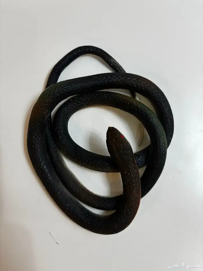 ثعبان بلاستيك طويل 0