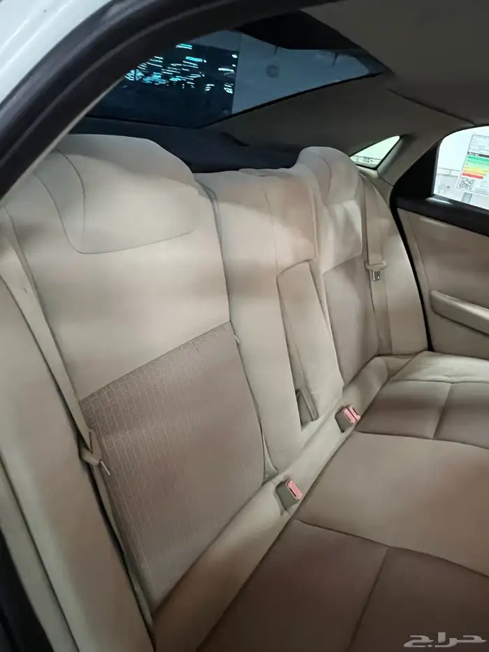 كابرس 2013 LS 31