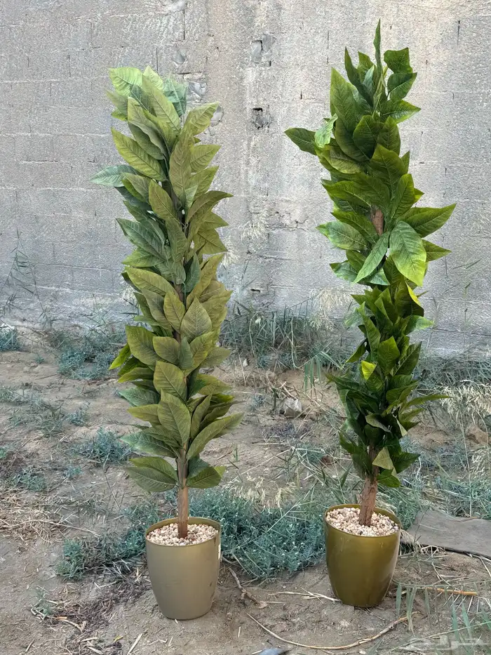 فود ترك  مقطوره   عربه متنقله 28