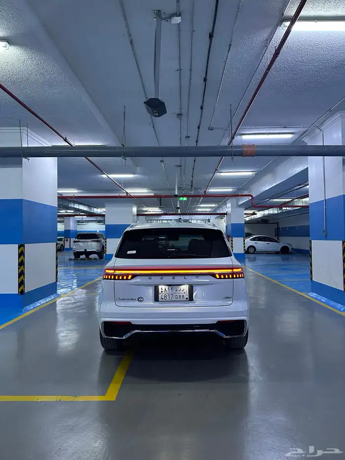 جيلي مونجارو مستخدم نظيف 5