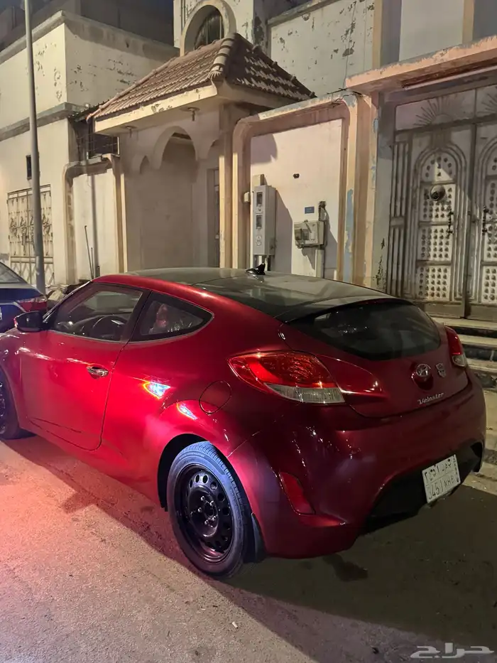 فيلوستر 2013 1