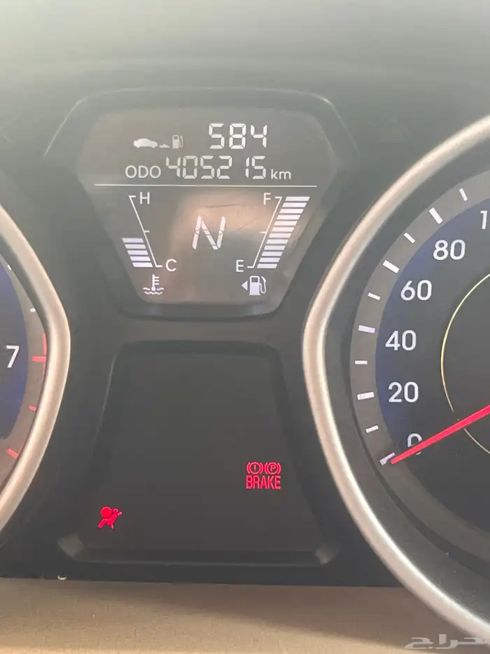 النترا 2013 22