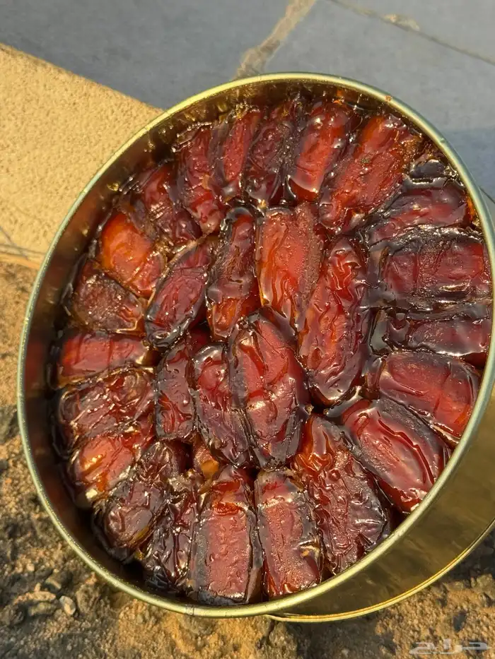 تمر صفري للبيع 1