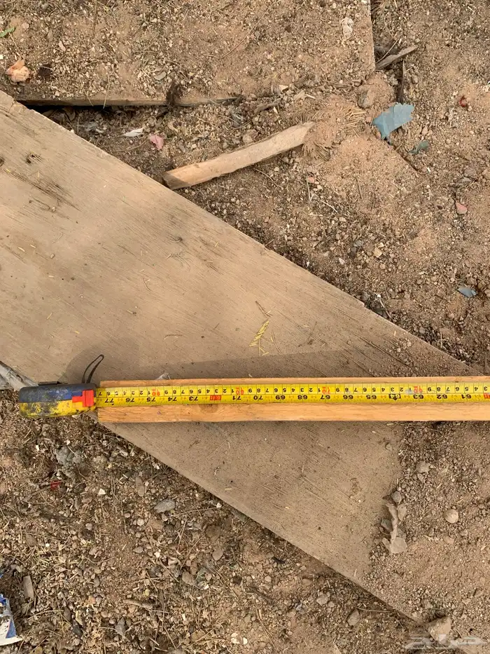 سيور ركايز العدد حول الخمسين يزود او ينقص 2