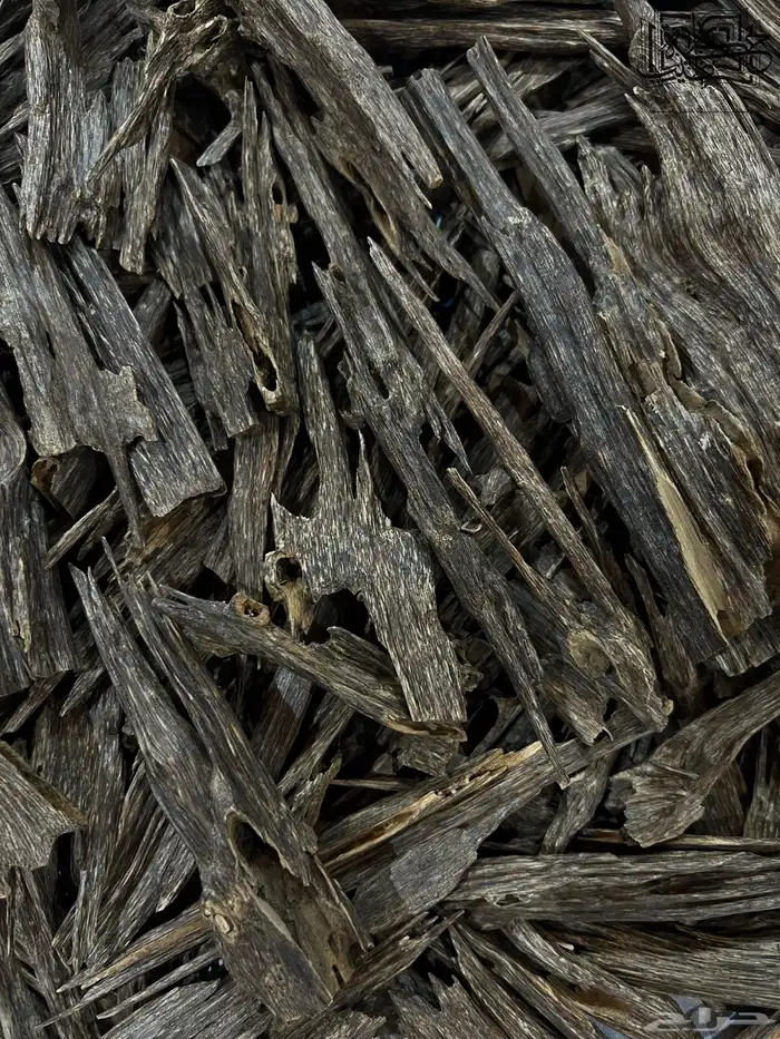 عود هندي زورا سوبر مرتفع طبيعي عرض الشتاء 2