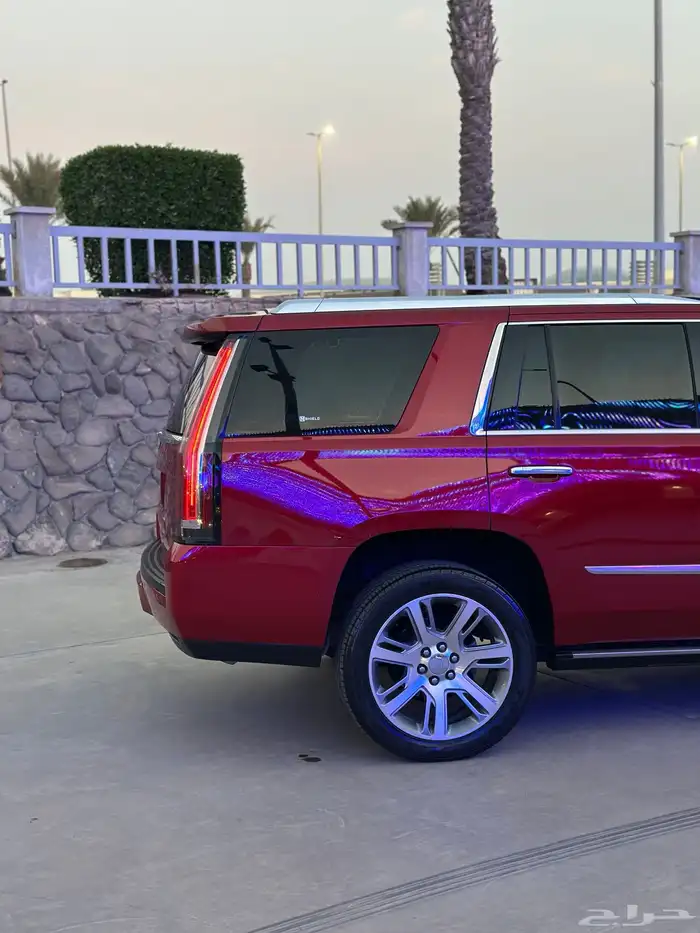 كاديلاك اسكاليد 2015 14