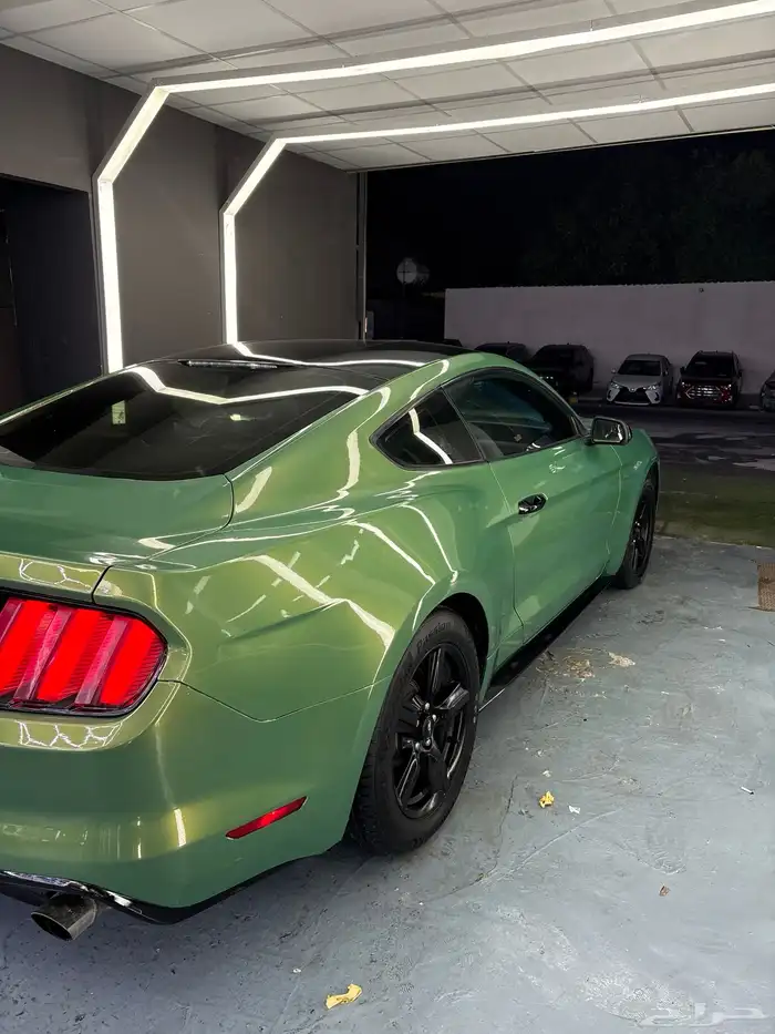 موستنق 2015 V6 1