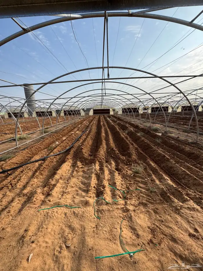 بيع وتركيب بيوت محميه وتركيب لمشاريع كبيره وصغيره 11