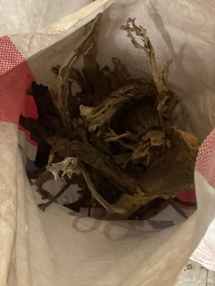 حطب  أورطة 0