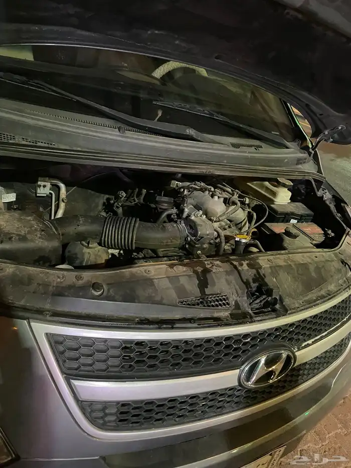 باص هونداي 7