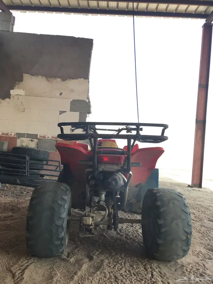 دباب سويدي مقاس 100 3