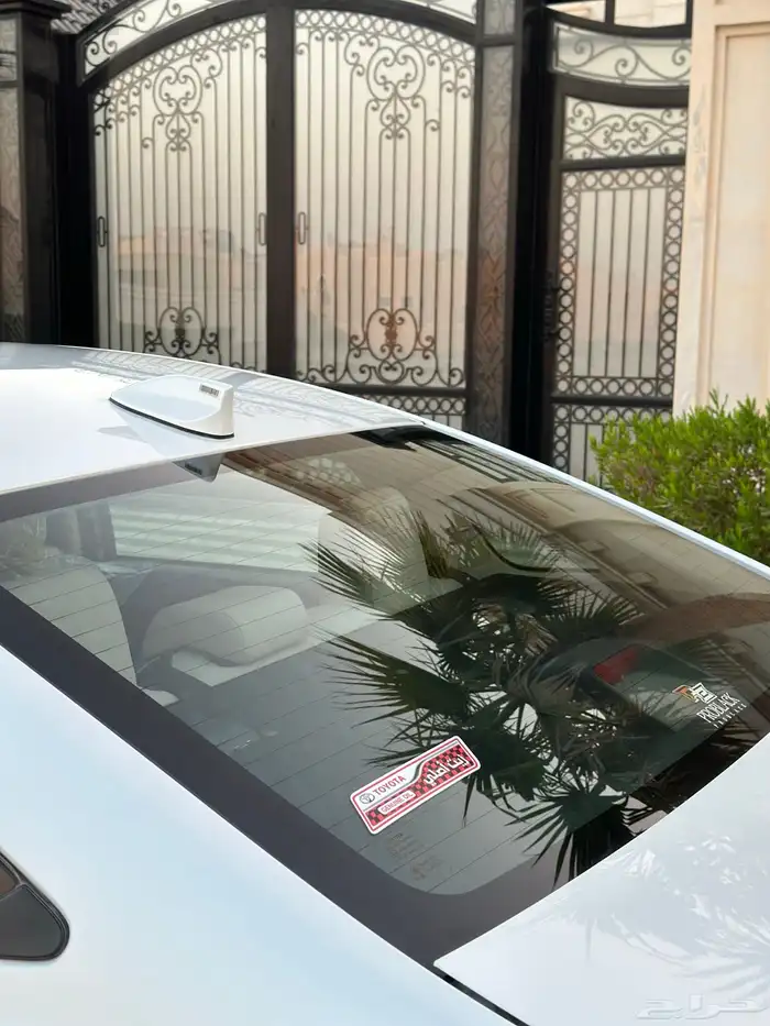 يارس 2023 y وكالة 22