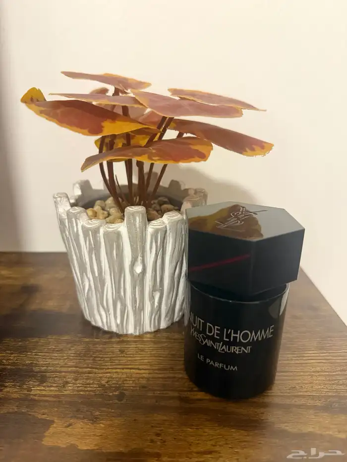 Yves Saint Laurent Perfumes 5