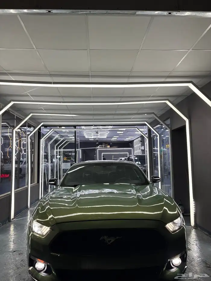 موستنق 2015 V6 10