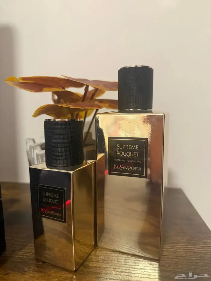 Yves Saint Laurent Perfumes 3