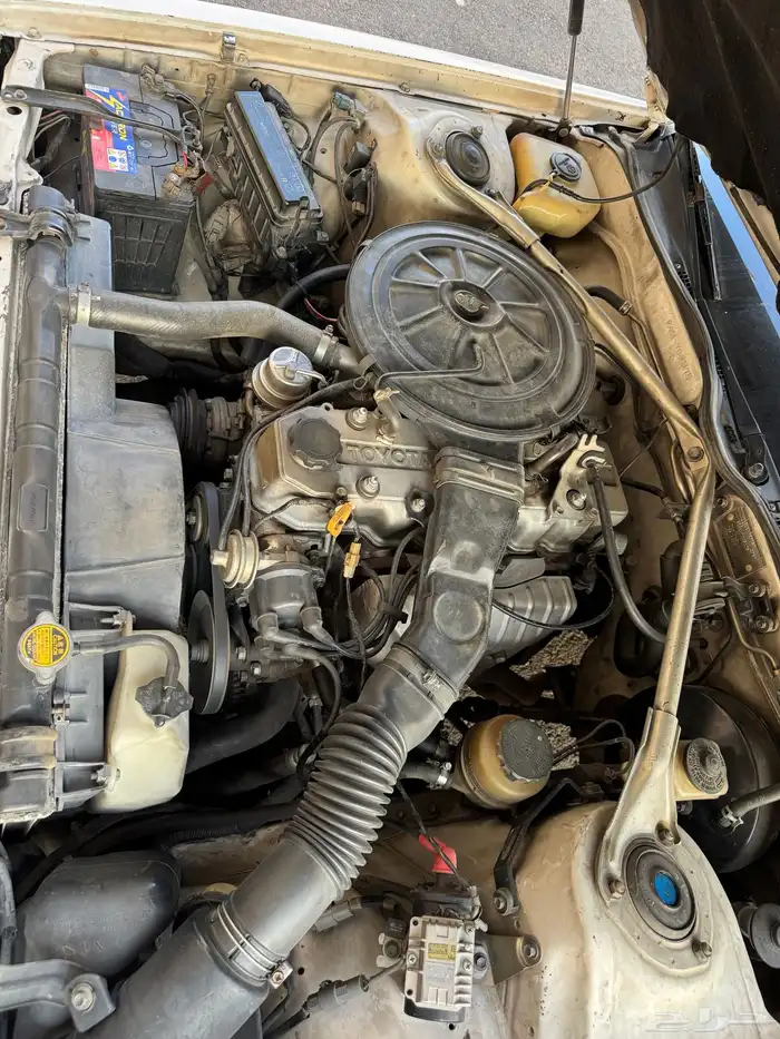 كرسيدا 95 XL 14